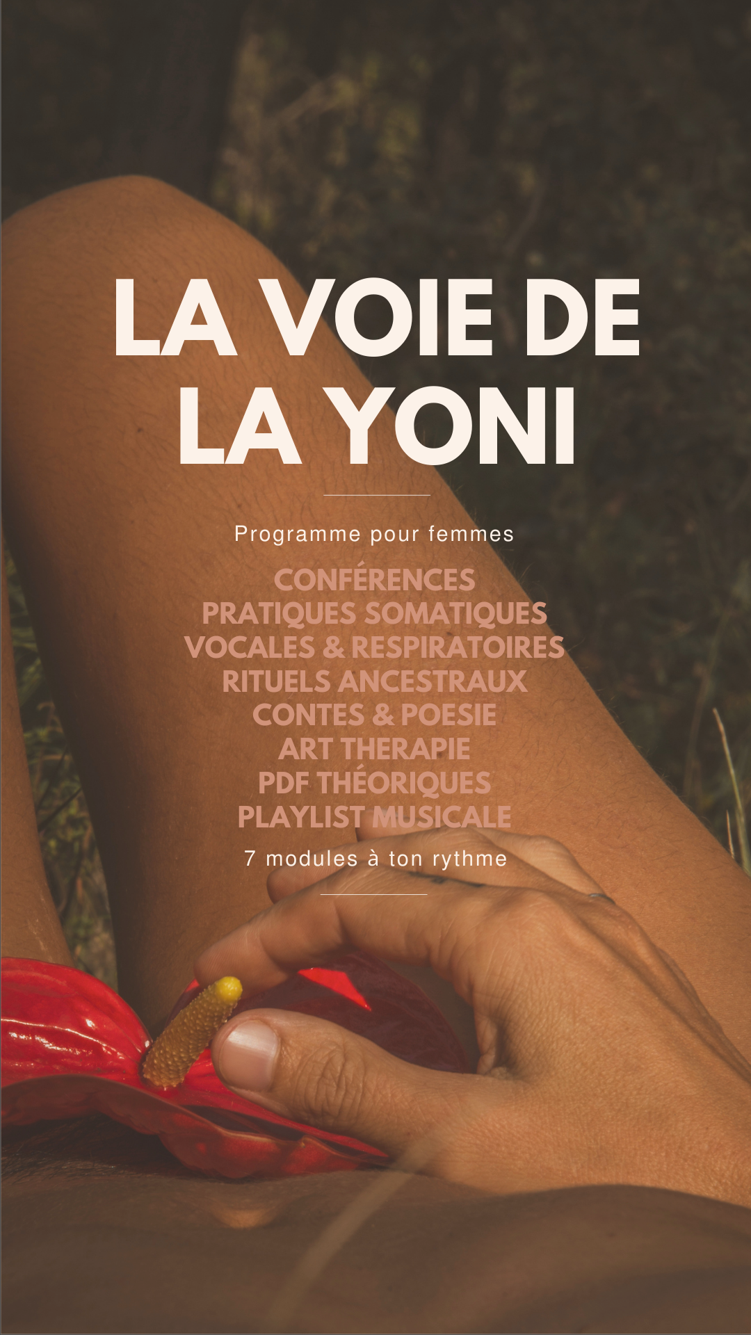 Du vase opaque au creuset trans-lucide – Jouir de la vie à visage découvert Un Programme Concret, Profond, Cathartique et Transformatif – Une transmission unique alliant le courant védique/tantrique et anthroposophique (biographie humaine)